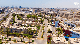 Expat Communities